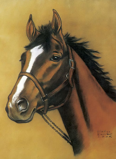 Horses Blank Notebook