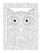 DVR Creative Haven® Coloring Book: Birds & Blossoms