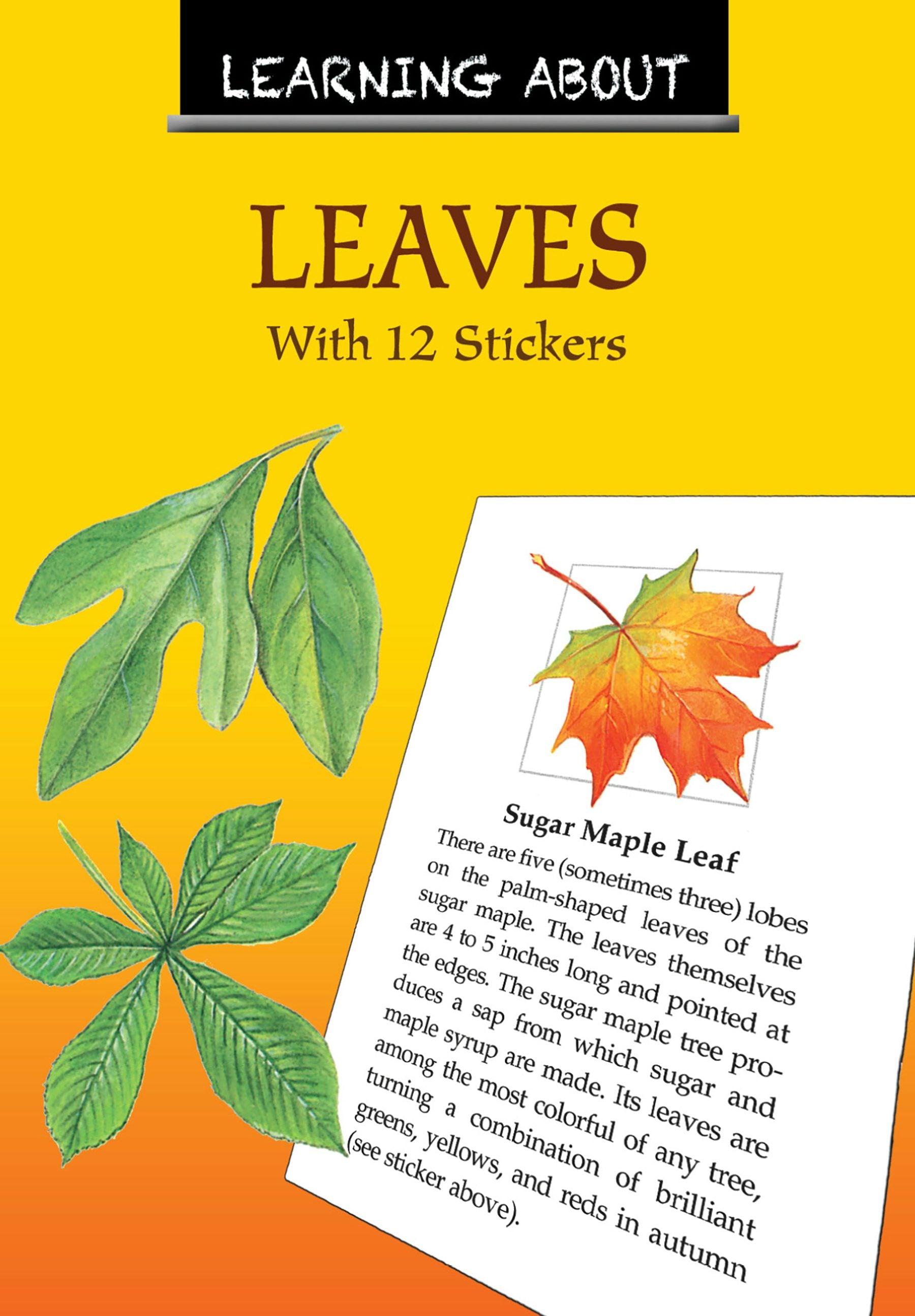 DVR Learning About Leaves