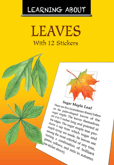 DVR Learning About Leaves