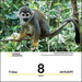 National Geographic Nature 2027 Day-to-Day Calendar