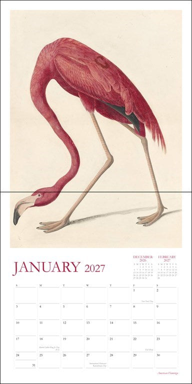 RZZLI Audubon’s Watercolors 2027 Wall Calendar