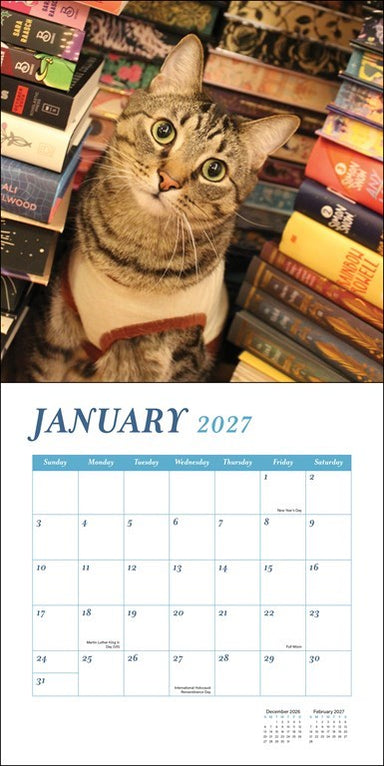Cats & Books 2027 Wall Calendar