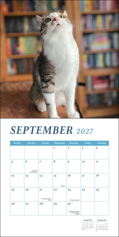 RZZLI Cats & Books 2027 Wall Calendar