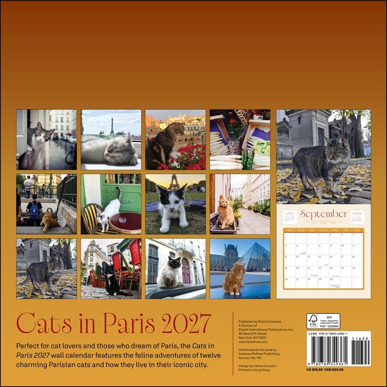 RZZLI Cats in Paris 2027 Wall Calendar