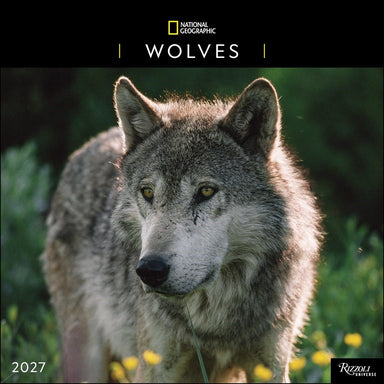 National Geographic Wolves 2027 Wall Calendar