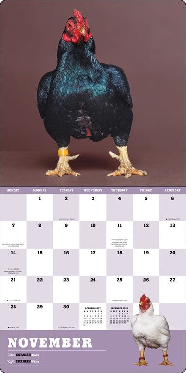 ABRMS Extraordinary Chickens 2027 Wall Calendar