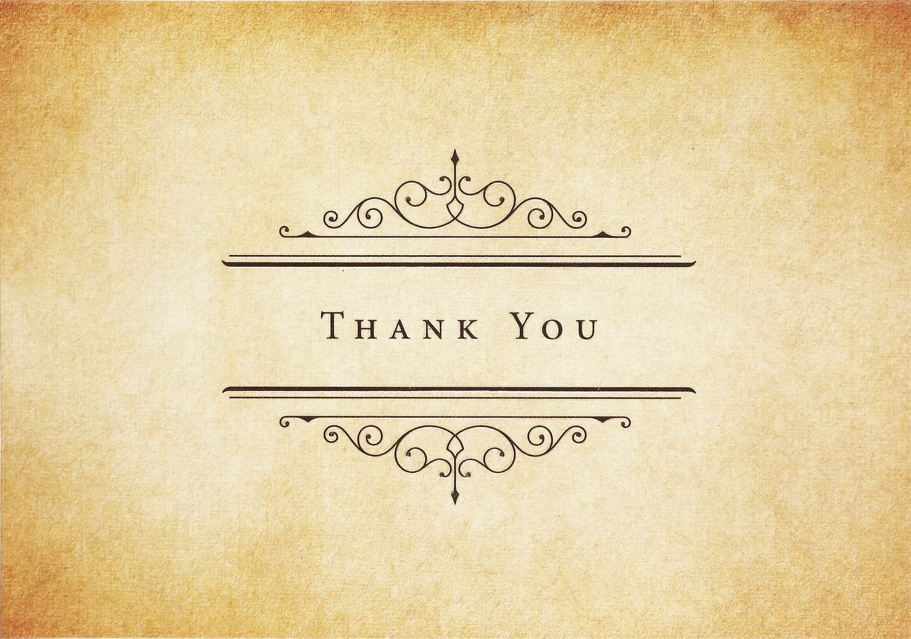 Boxed Thank You Cards - Vintage Parchment    