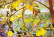 Tiffany Lemon Tree Boxed Note Cards    