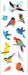 Birds Stickers
