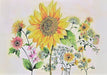 Boxed Note Cards - Watercolor Sunflower    