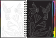 Extreme! The World of Birds Scratch and Sketch