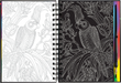 Extreme! The World of Birds Scratch and Sketch