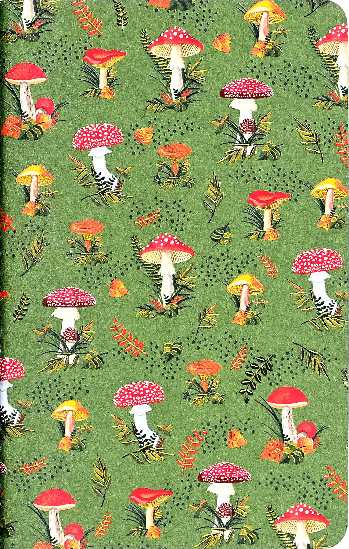 Mushrooms Jotter Journals - Set of 3 Little Notebooks