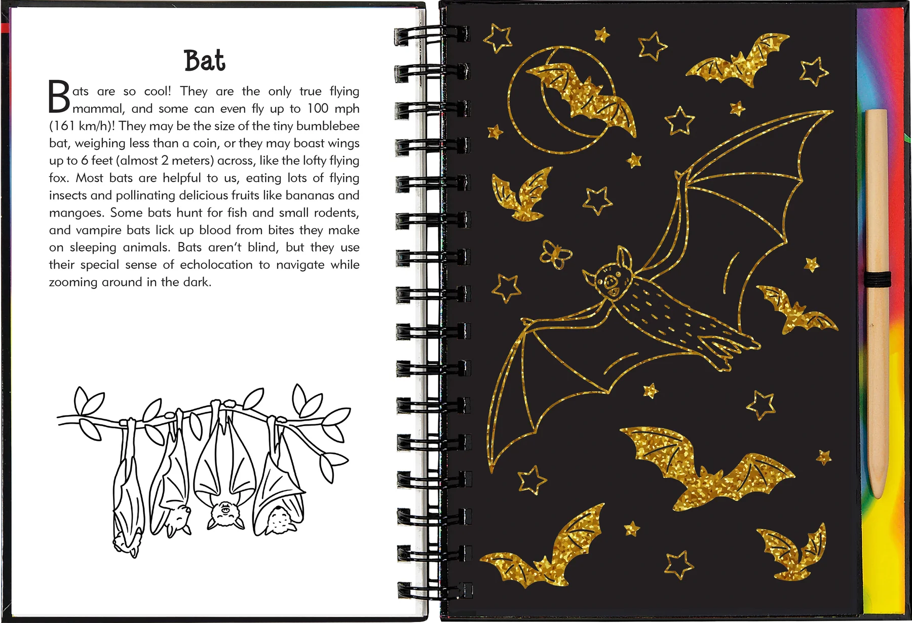 Nocturnal Animals Scratch and Sketch