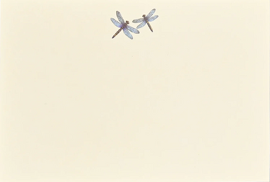 Blue Dragonflies Correspondence Cards