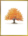 Watercolor Trees Premium Assorted Note Cards