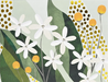 Floral Premium Assorted Note Cards