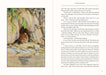 The Wind in the Willows Masterpiece Library Edition