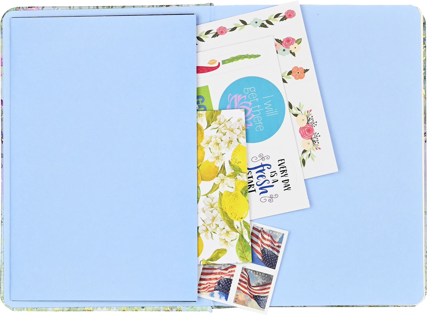 Dragonflies & Dandelions Journal
