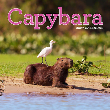 Capybara 2027 Wall Calendar