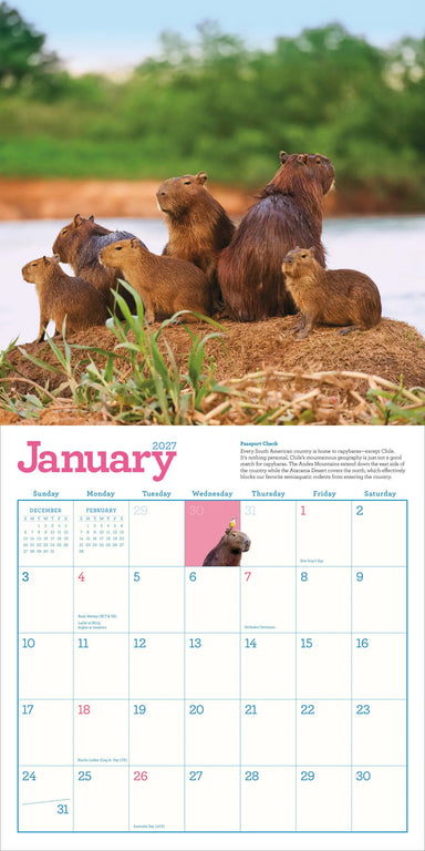 Capybara 2027 Wall Calendar