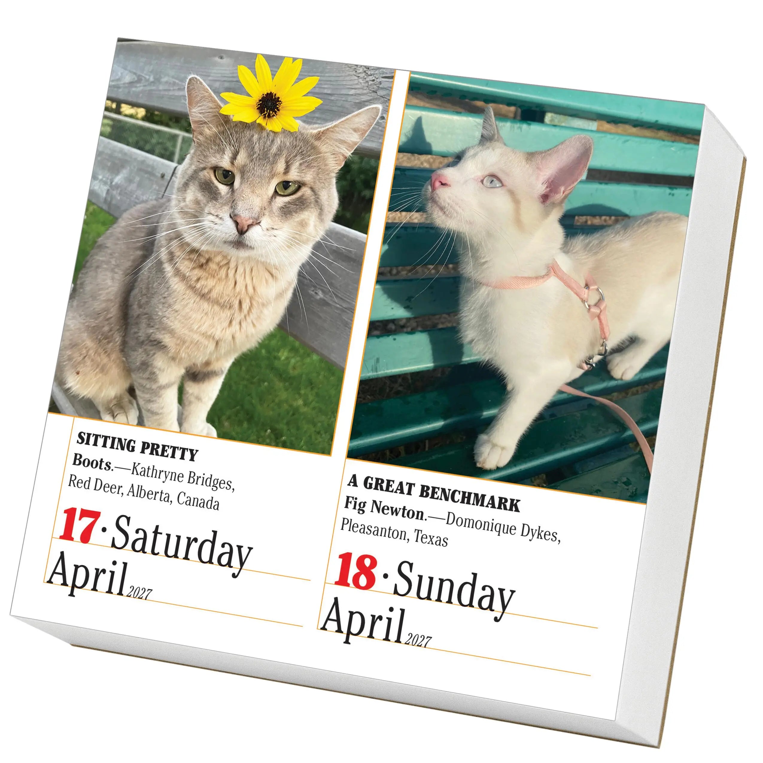 WRK 365 Cats 2027 Page-A-Day® Calendar