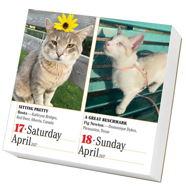 365 Cats 2027 Page-A-Day Calendar
