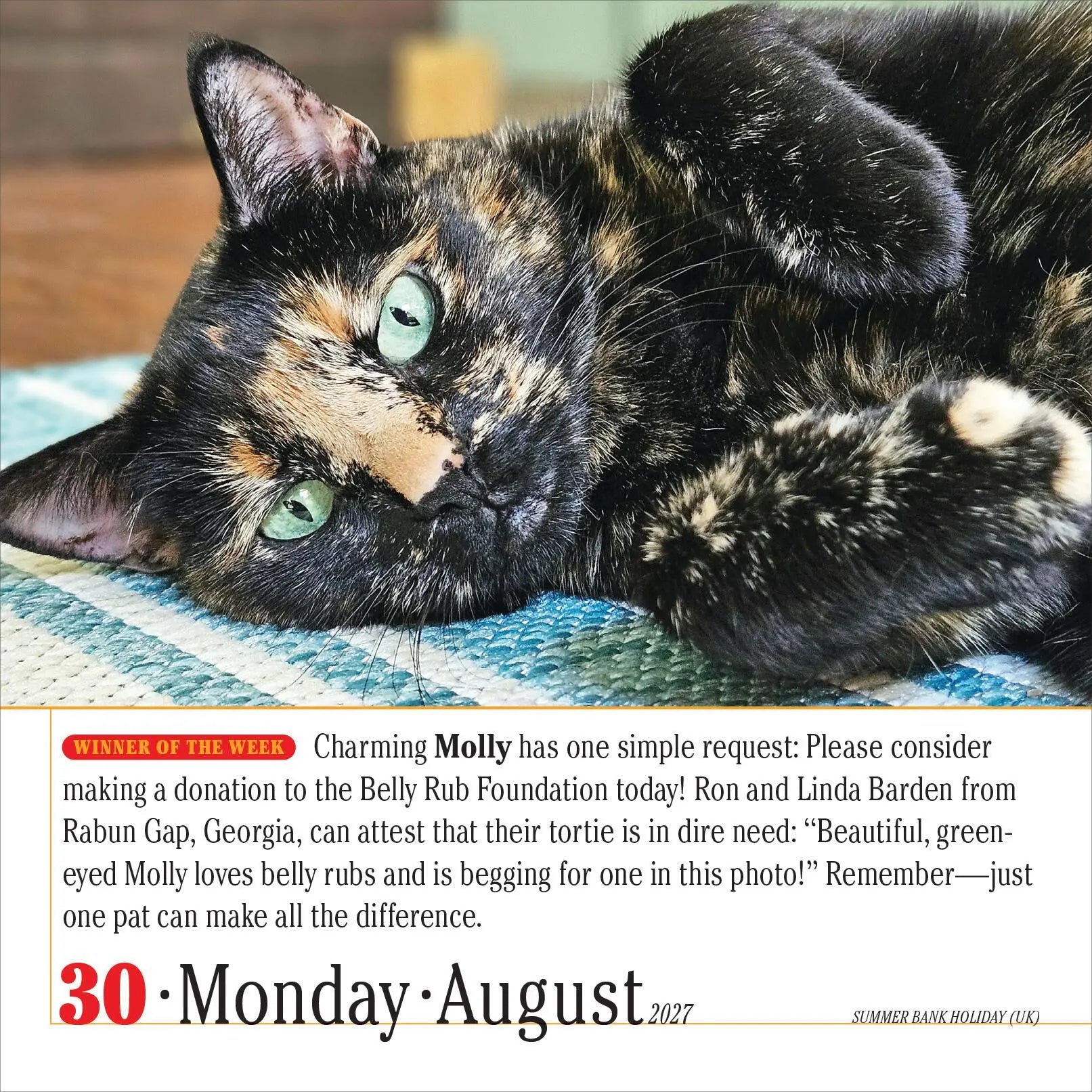 WRK 365 Cats 2027 Page-A-Day® Calendar
