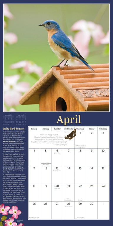 Audubon Birds in the Garden 2027 Wall Calendar