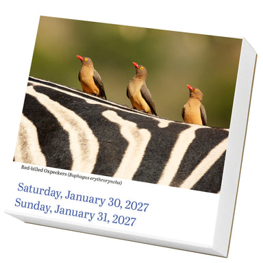 Audubon Birds 2027 Page-A-Day Calendar