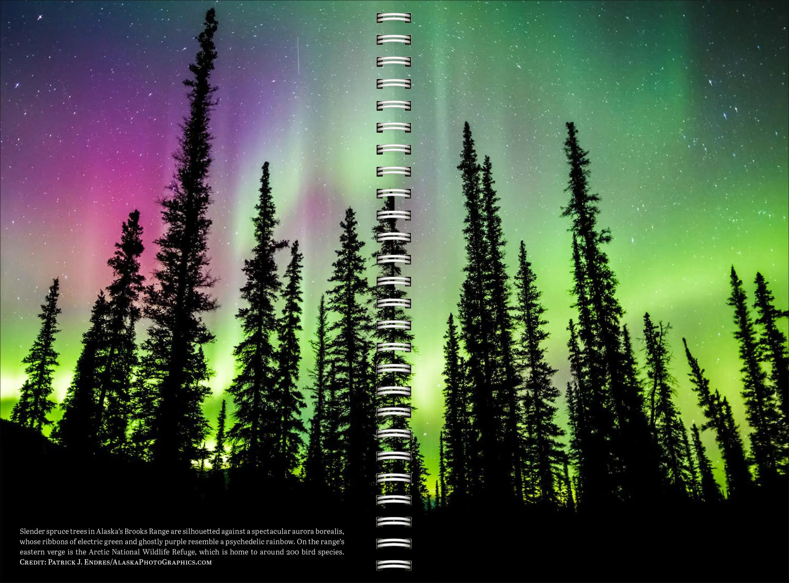 Audubon Engagement Calendar 2027