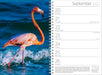 Audubon Engagement Calendar 2027