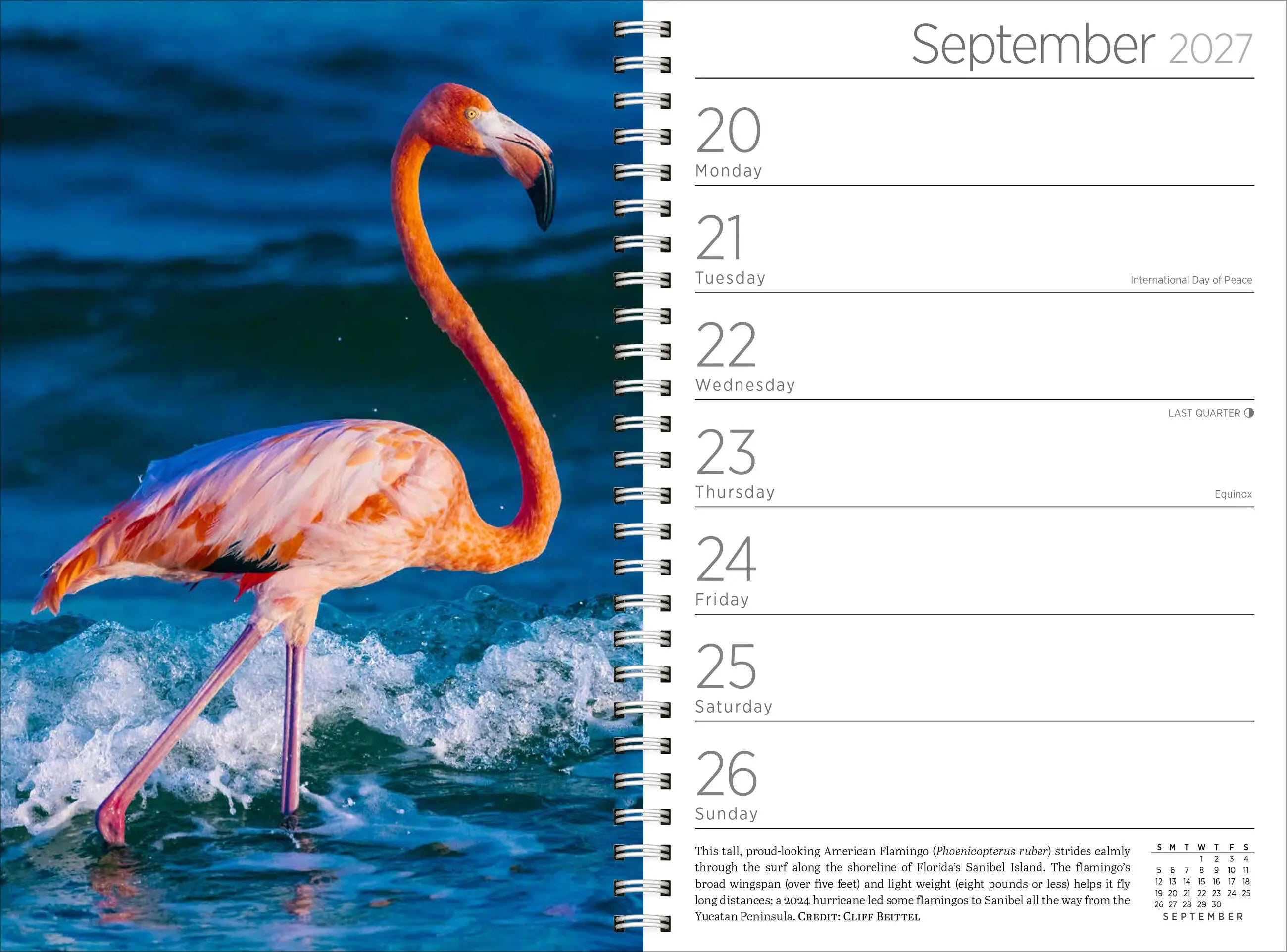 Audubon Engagement Calendar 2027