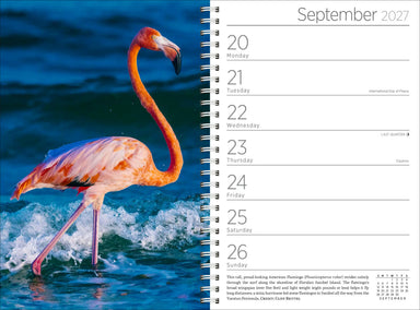 Audubon Engagement Calendar 2027