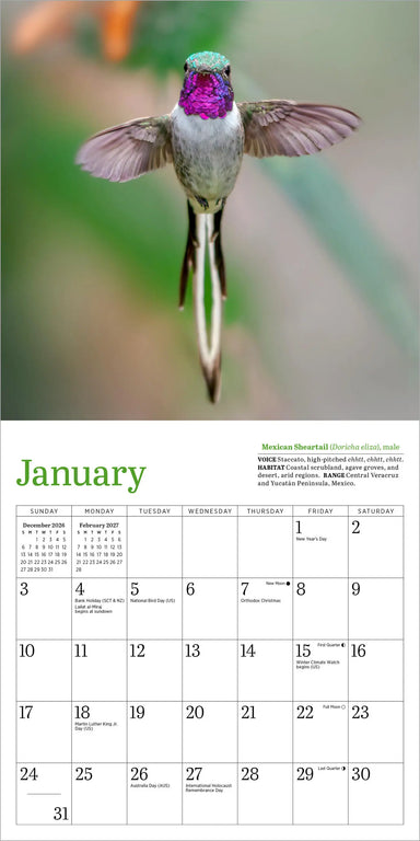 Audubon Hummingbirds 2027 Mini Wall Calendar