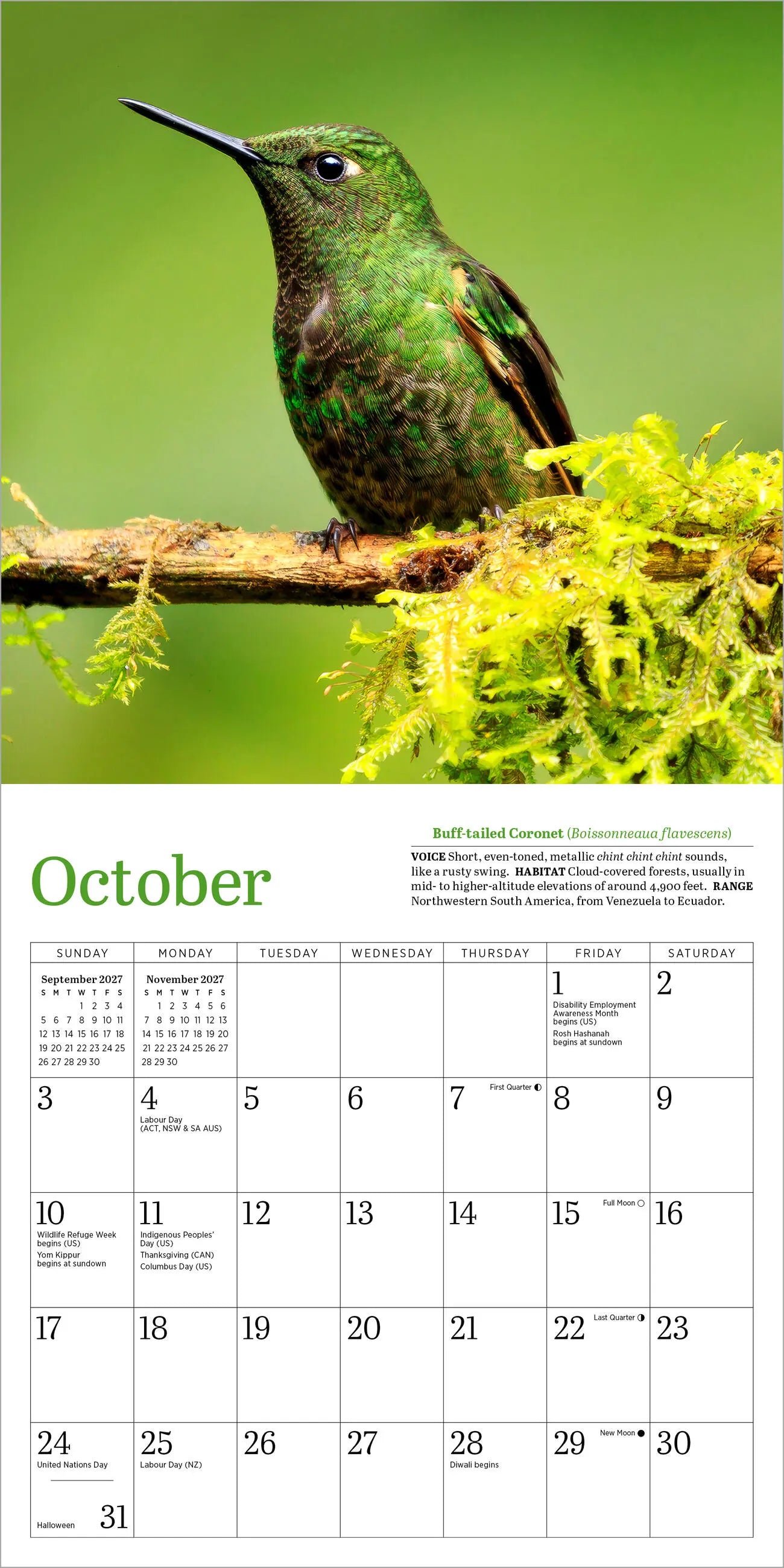 WRK Audubon Hummingbirds 2027 Mini Wall Calendar