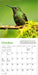 WRK Audubon Hummingbirds 2027 Mini Wall Calendar