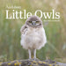 WRK Audubon Little Owls 2027 Mini Wall Calendar