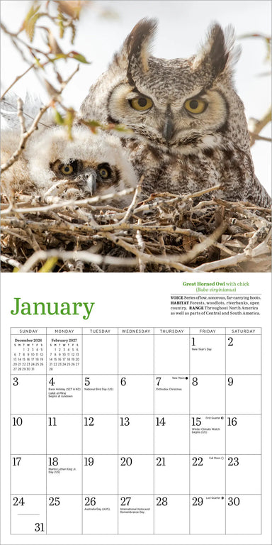 Audubon Little Owls 2027 Mini Wall Calendar