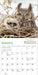 WRK Audubon Little Owls 2027 Mini Wall Calendar