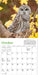 WRK Audubon Little Owls 2027 Mini Wall Calendar