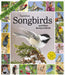 WRK Audubon Songbirds and Other Backyard Birds Picture-A-Day® 2027 Wall Calendar