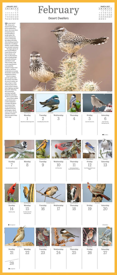 Audubon Songbirds and Other Backyard Birds Picture-A-Day 2027 Wall Calendar