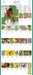 WRK Audubon Songbirds and Other Backyard Birds Picture-A-Day® 2027 Wall Calendar