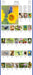 WRK Audubon Songbirds and Other Backyard Birds Picture-A-Day® 2027 Wall Calendar