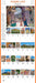 WRK 365 Days in Italy Picture-A-Day® 2027 Wall Calendar