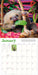 WRK Original Sloths 2027 Wall Calendar