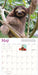 WRK Original Sloths 2027 Wall Calendar