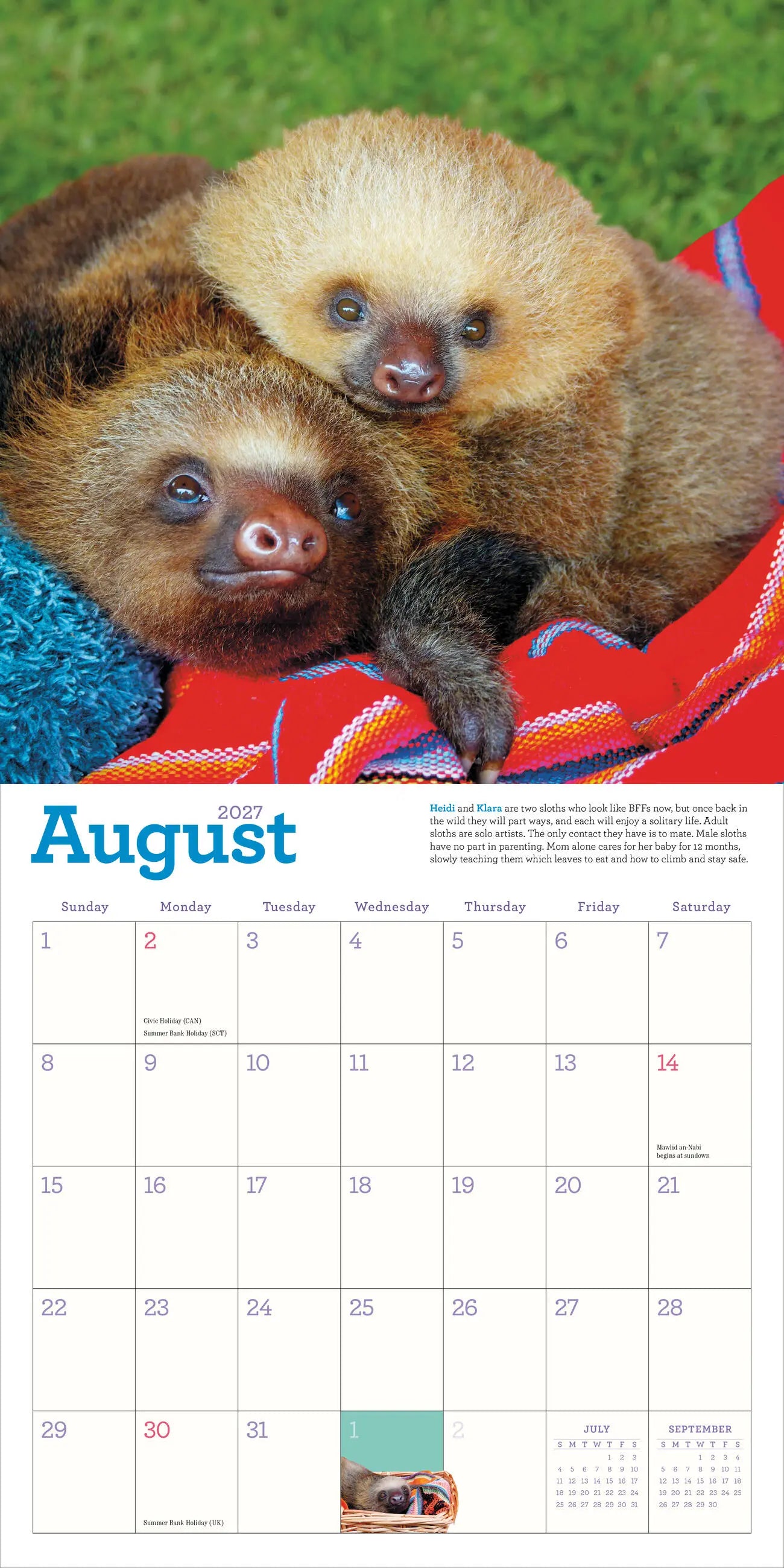WRK Original Sloths 2027 Wall Calendar